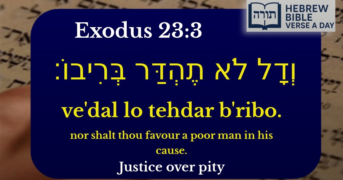 Exodus 23:3 - שמות 23:3