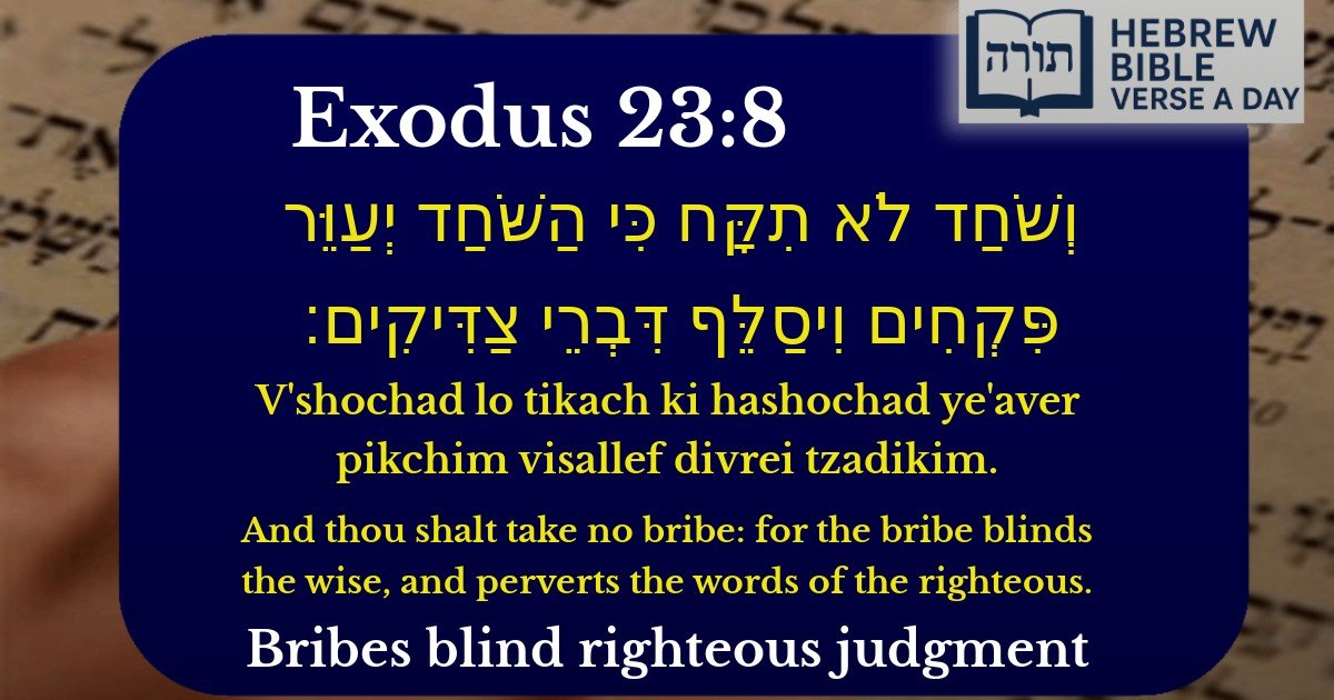 Exodus 23:8 - שמות 23:8