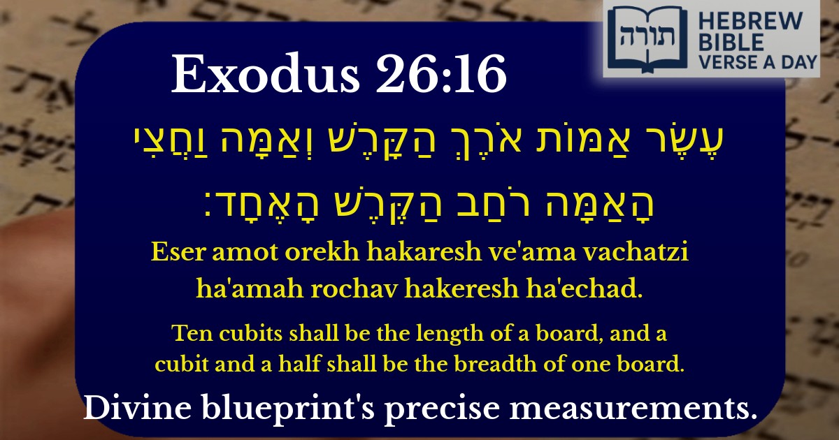Exodus 26:16 - שמות 26:16