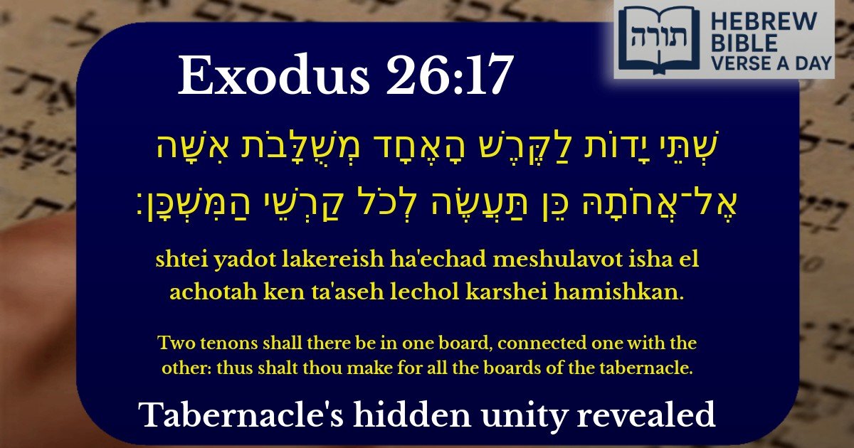 Exodus 26:17 - שמות 26:17