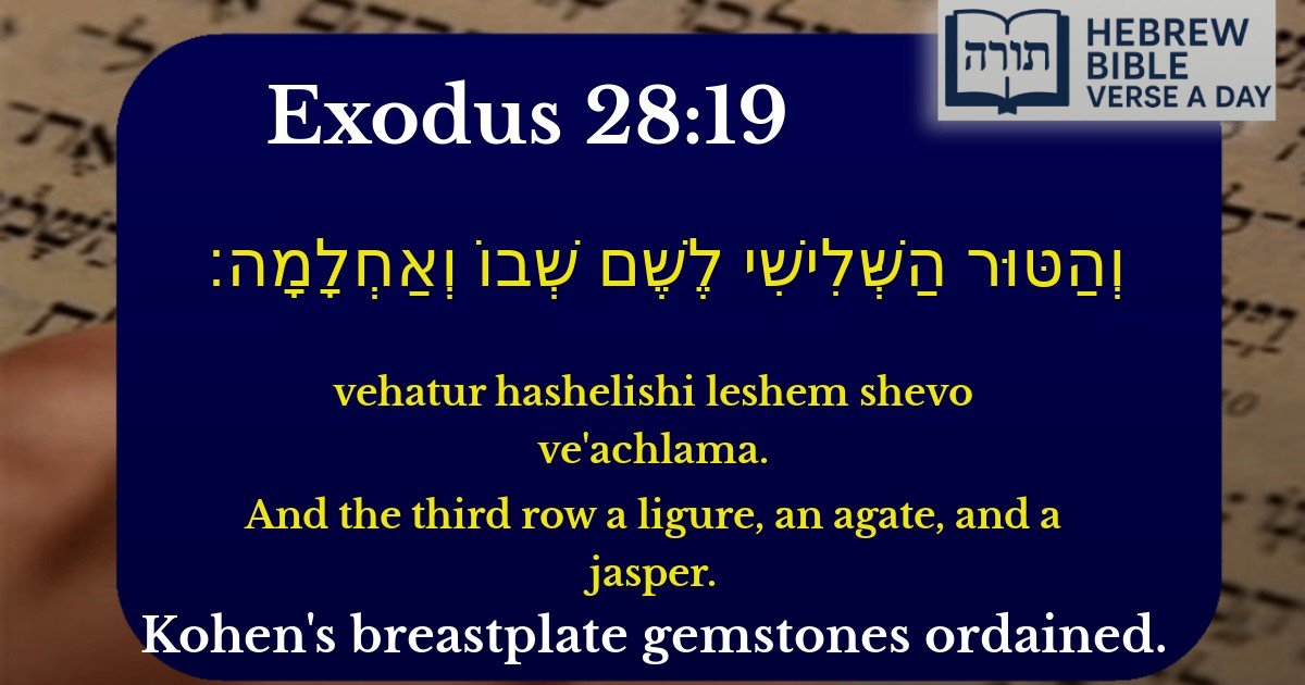 Exodus 28:19 - שמות 28:19