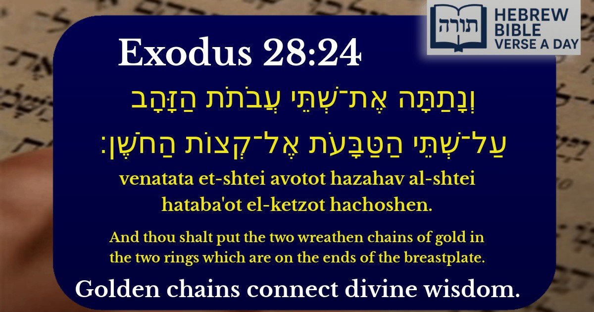 Exodus 28:24 - שמות 28:24