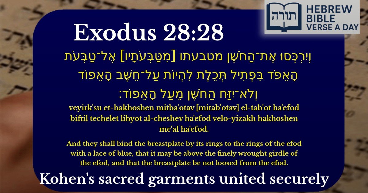 Exodus 28:28 - שמות 28:28