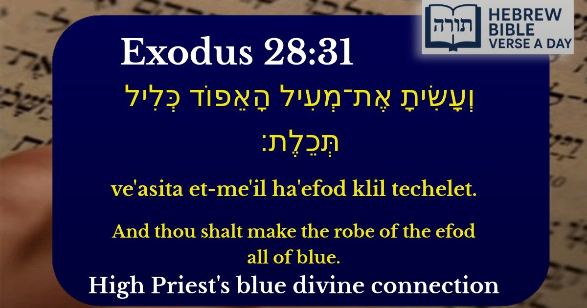 Exodus 28:31 - שמות 28:31