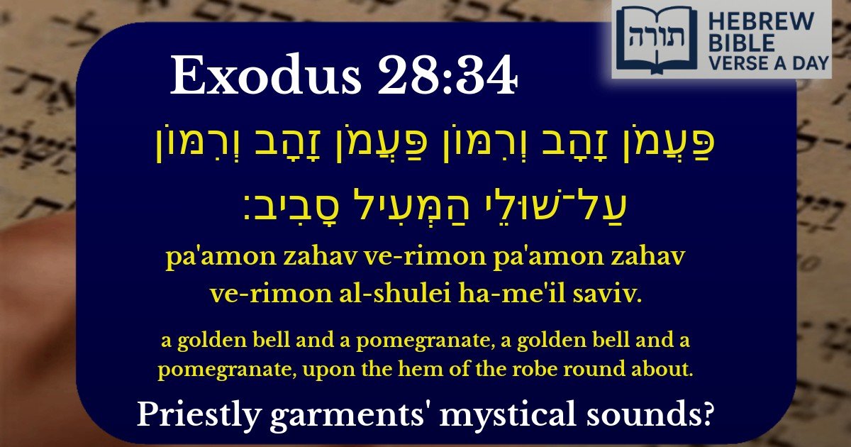 Exodus 28:34 - שמות 28:34