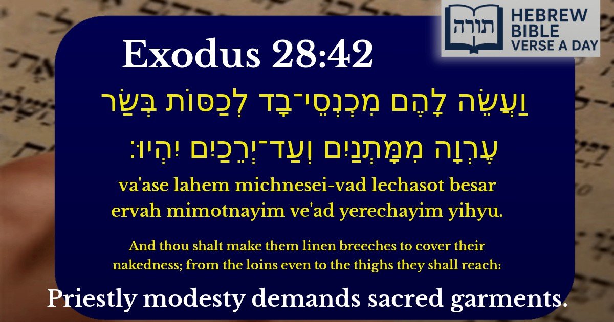 Exodus 28:42 - שמות 28:42