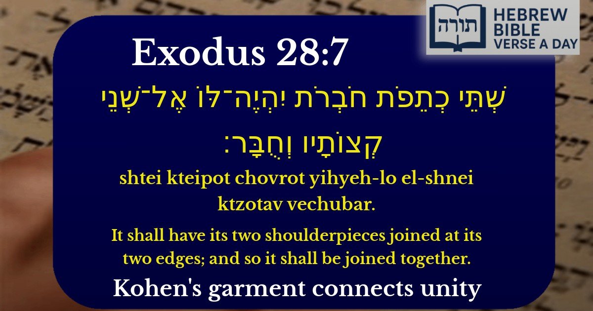 Exodus 28:7 - שמות 28:7