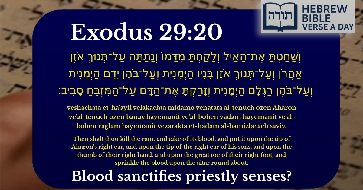 Exodus 29:20 - שמות 29:20