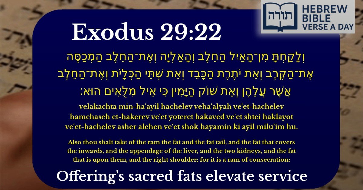 Exodus 29:22 - שמות 29:22