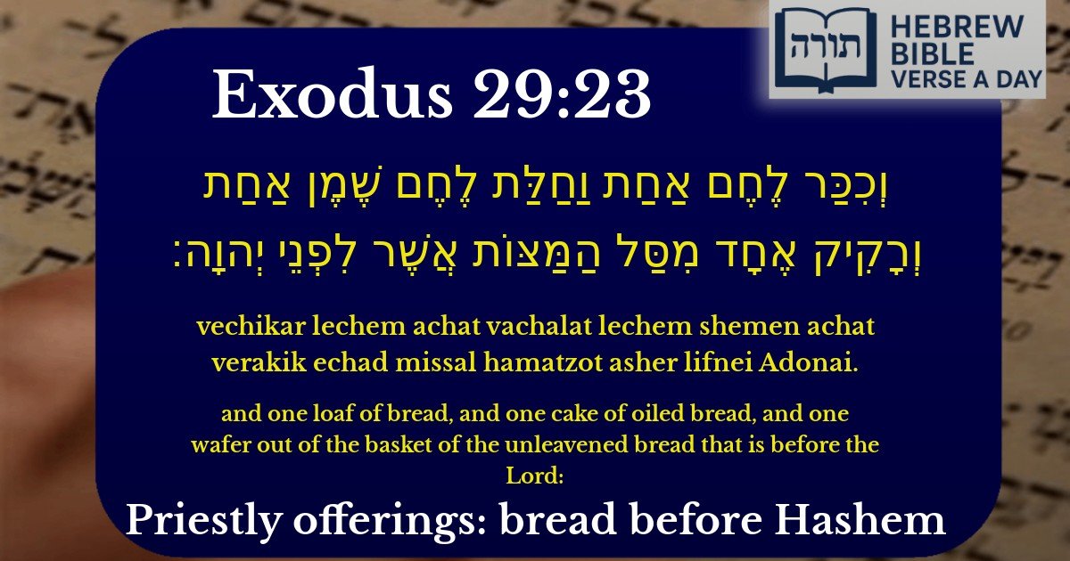 Exodus 29:23 - שמות 29:23