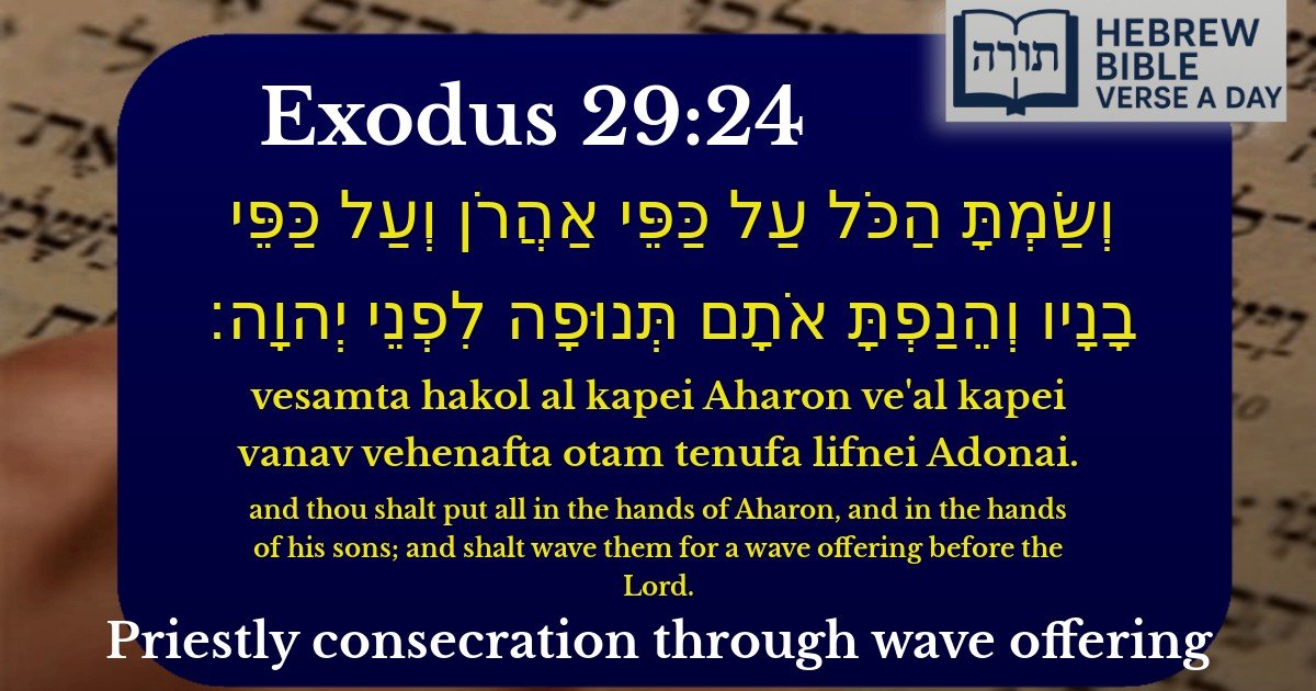 Exodus 29:24 - שמות 29:24