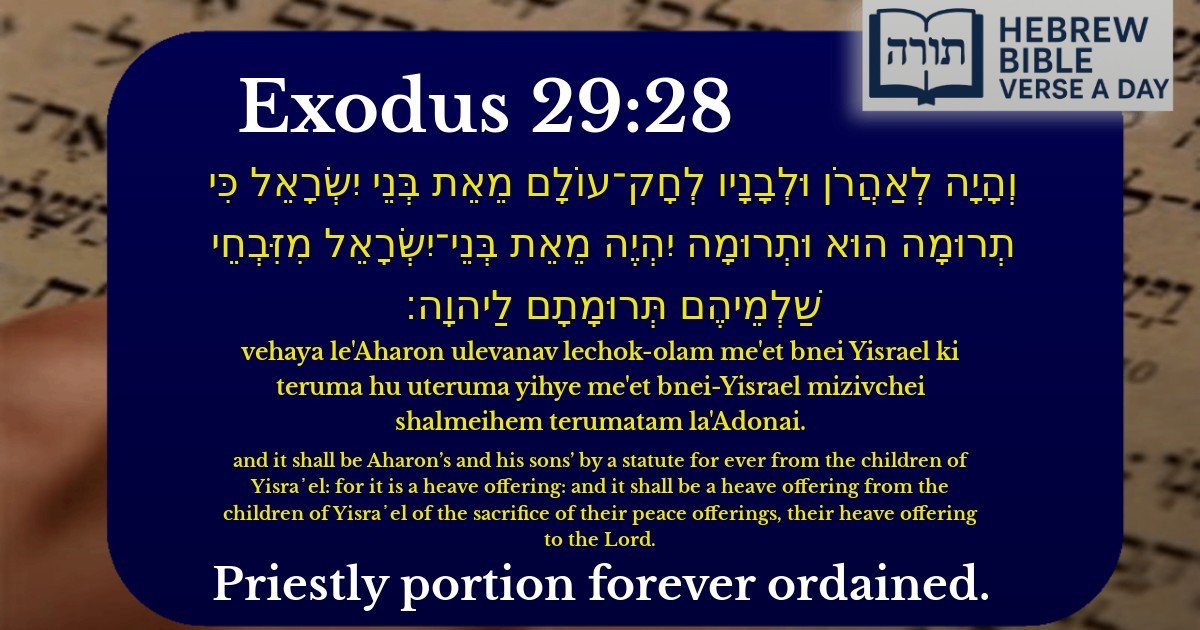 Exodus 29:28 - שמות 29:28
