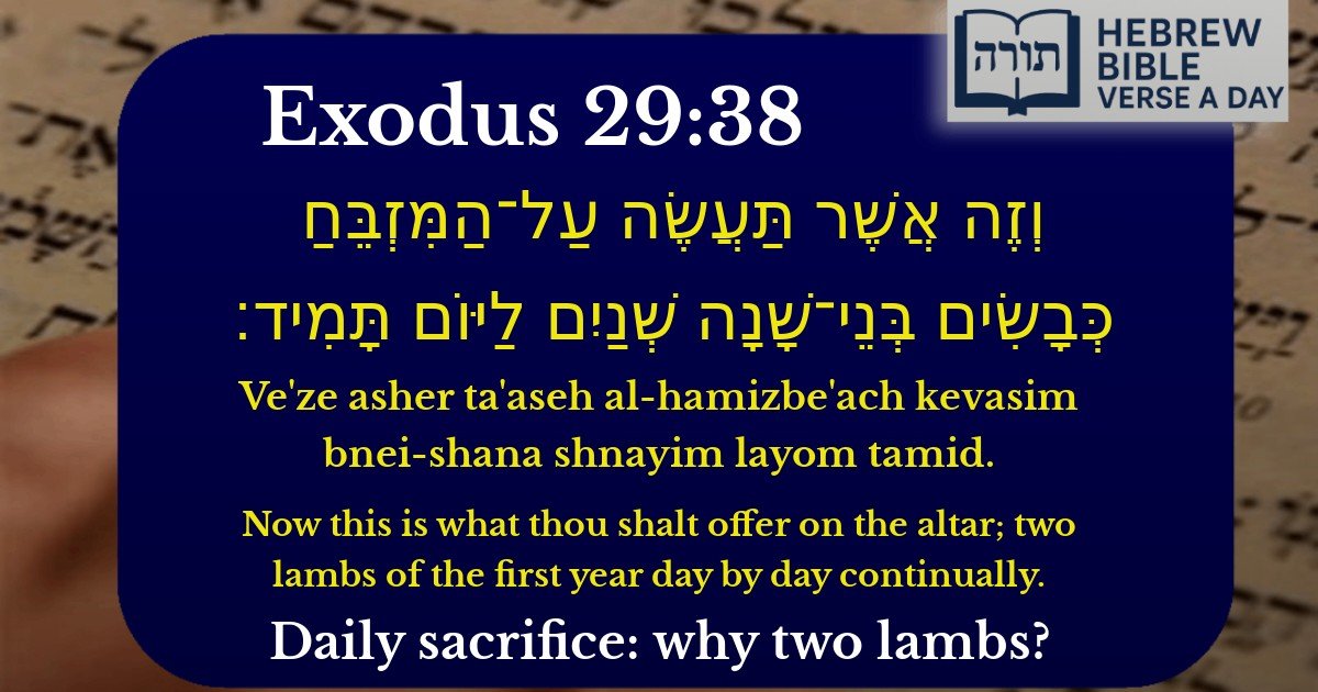 Exodus 29:38 - שמות 29:38