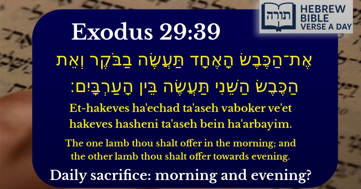 Exodus 29:39 - שמות 29:39