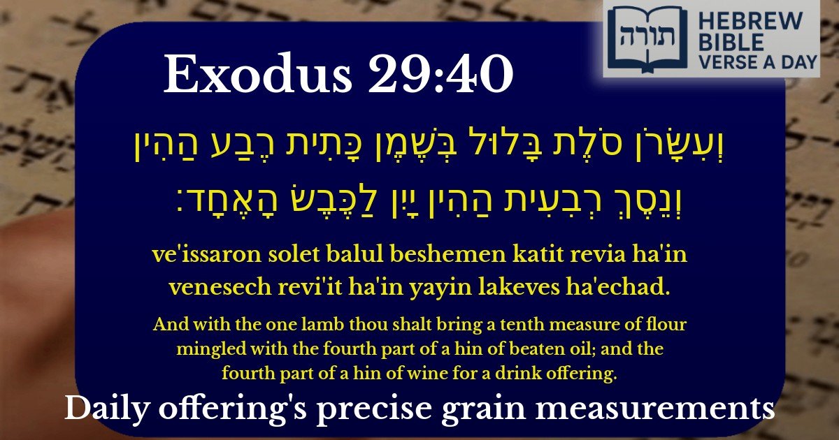 Exodus 29:40 - שמות 29:40