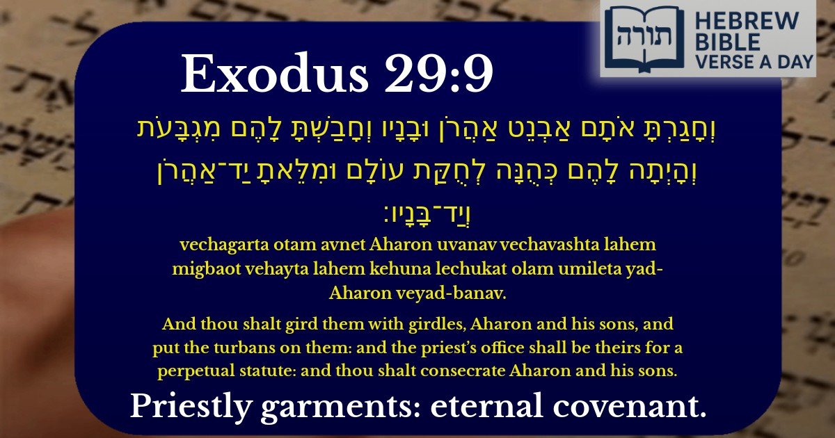 Exodus 29:9 - שמות 29:9