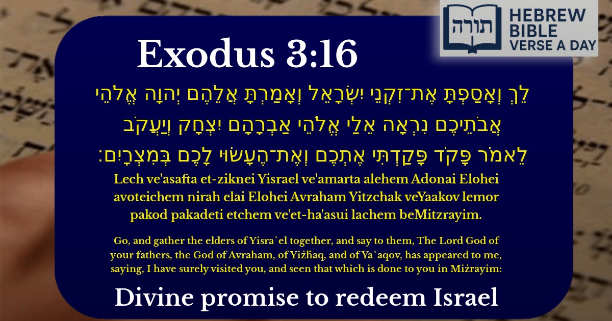 Exodus 3:16 - שמות 3:16