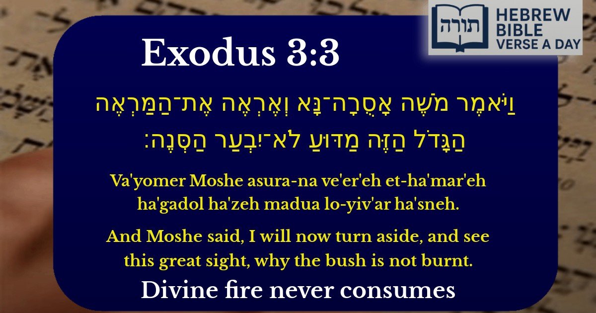 Exodus 3:3 - שמות 3:3