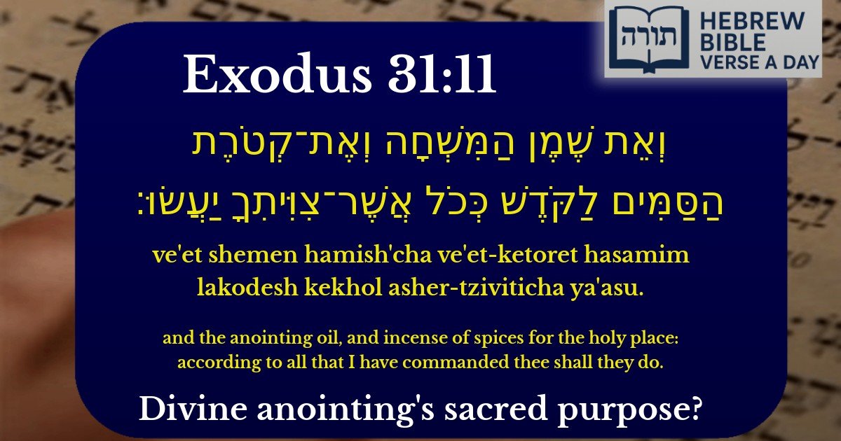 Exodus 31:11 - שמות 31:11
