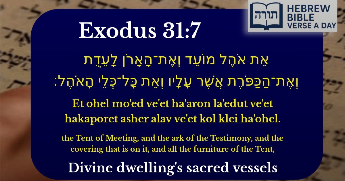 Exodus 31:7 - שמות 31:7