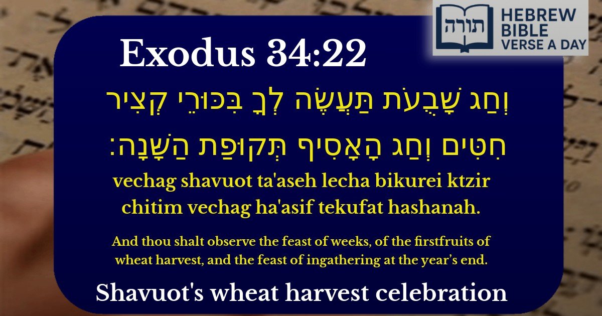 Exodus 34:22 - שמות 34:22