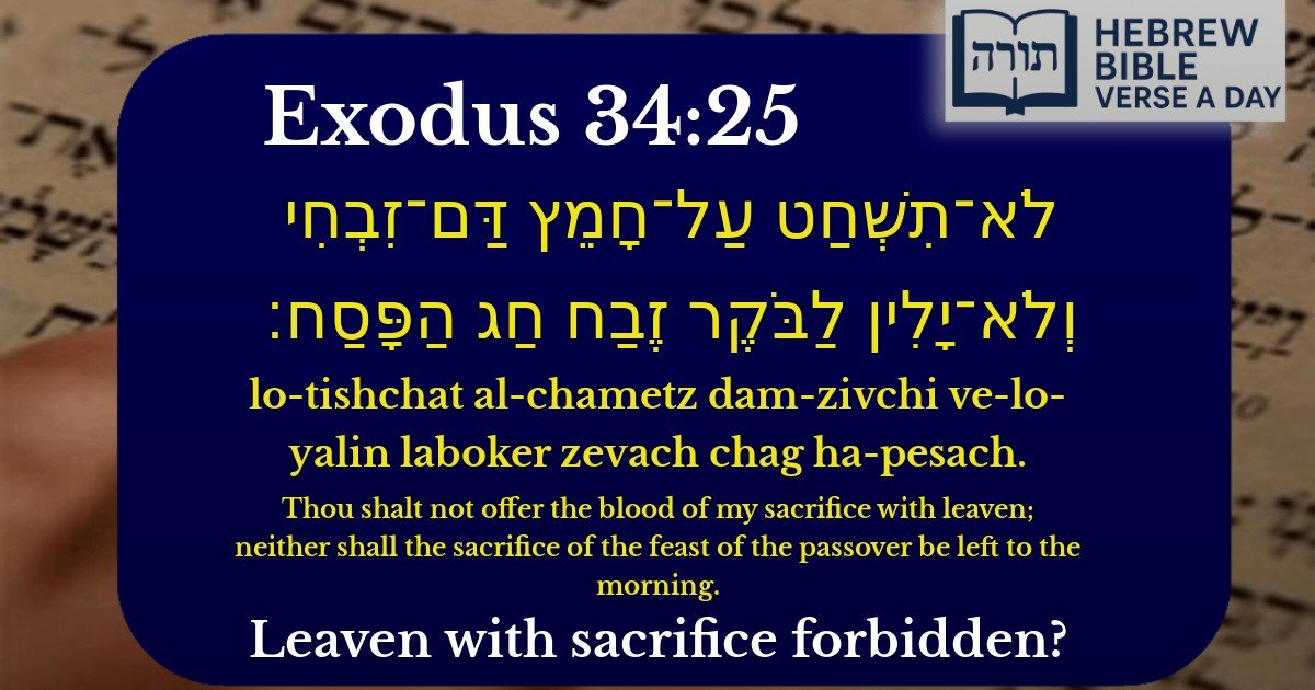 Exodus 34:25 - שמות 34:25