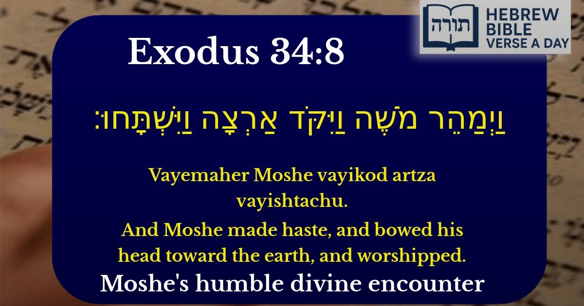 Exodus 34:8 - שמות 34:8