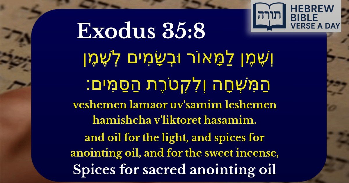 Exodus 35:8 - שמות 35:8