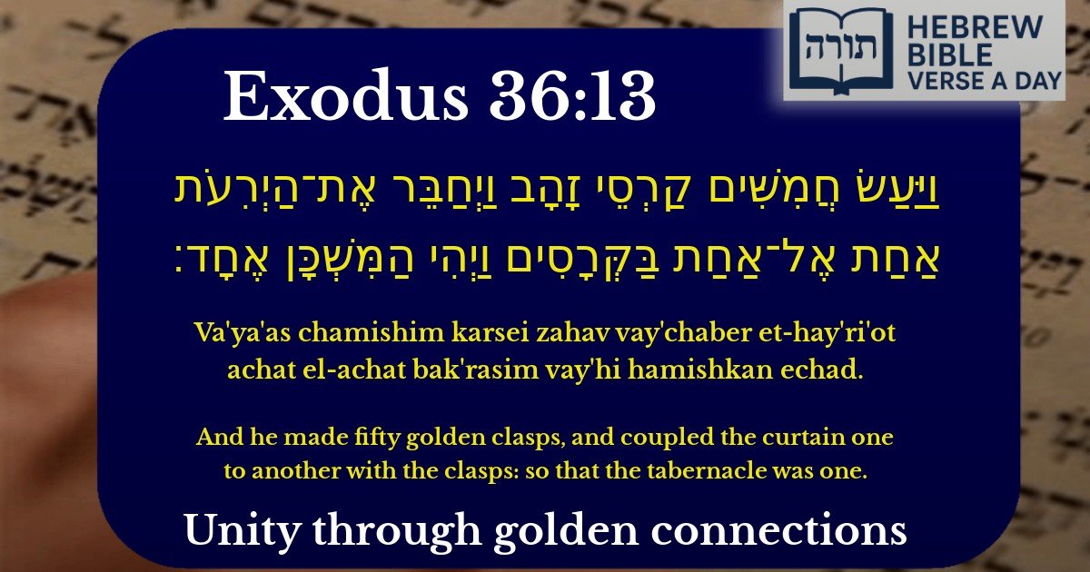 Exodus 36:13 - שמות 36:13