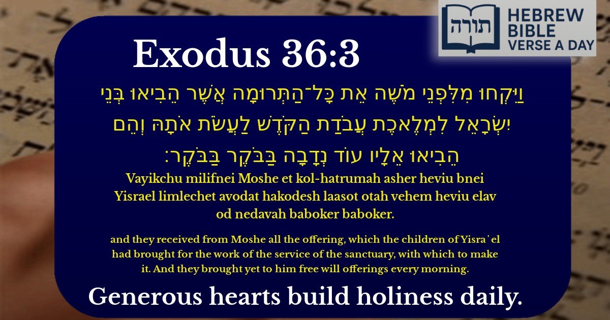 Exodus 36:3 - שמות 36:3