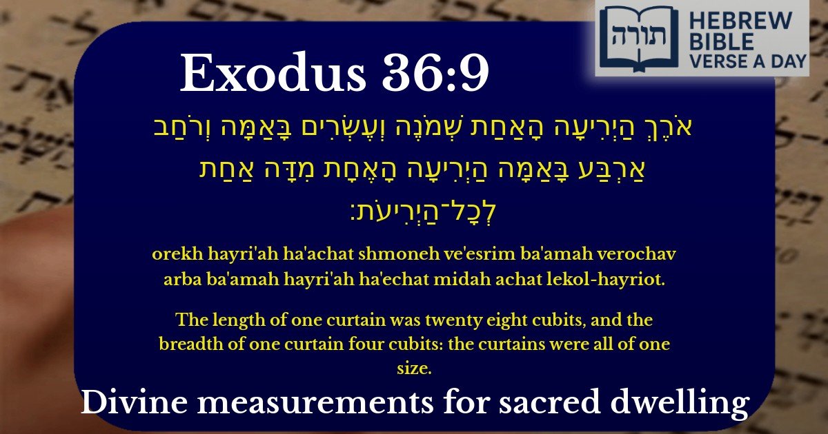Exodus 36:9 - שמות 36:9