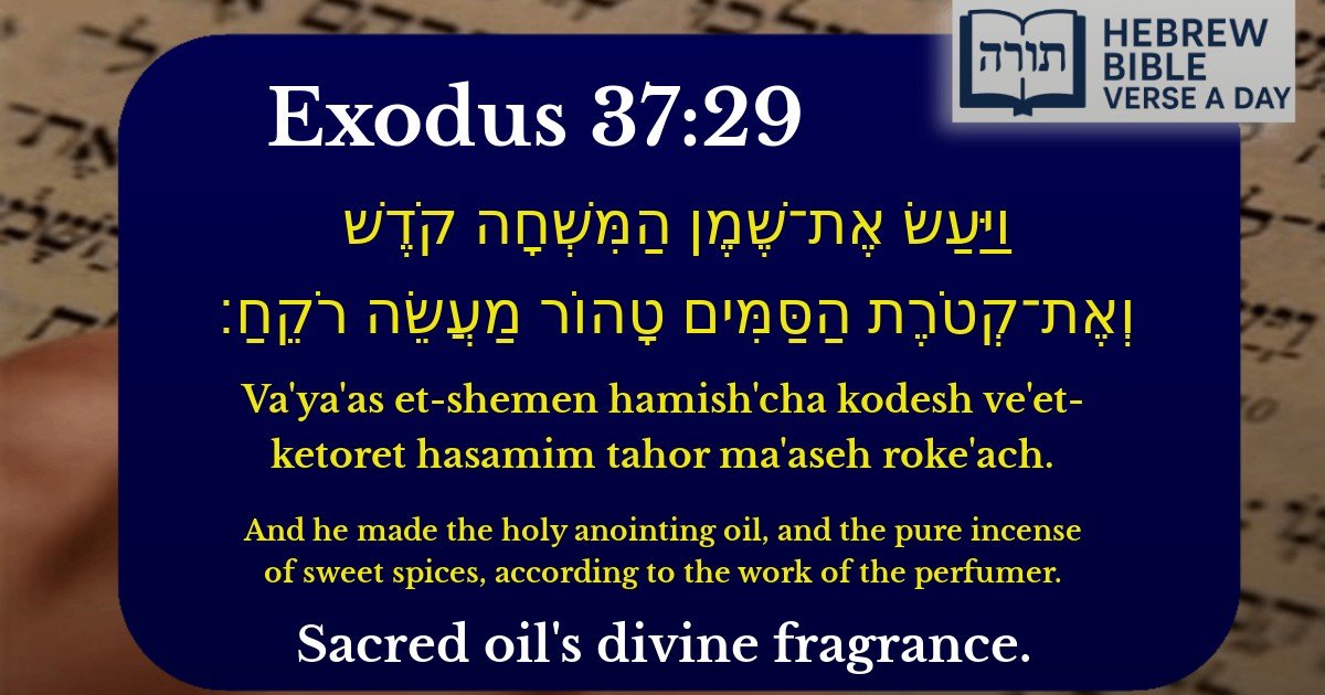 Exodus 37:29 - שמות 37:29