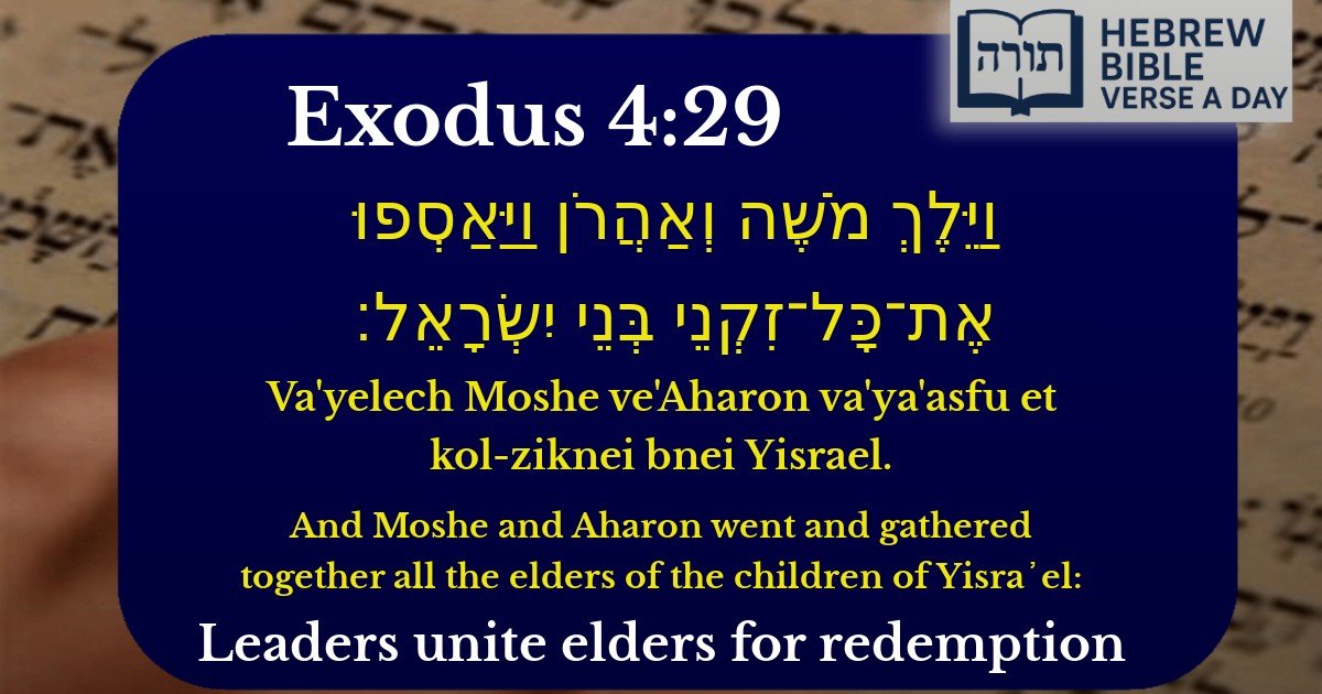 Exodus 4:29 - שמות 4:29
