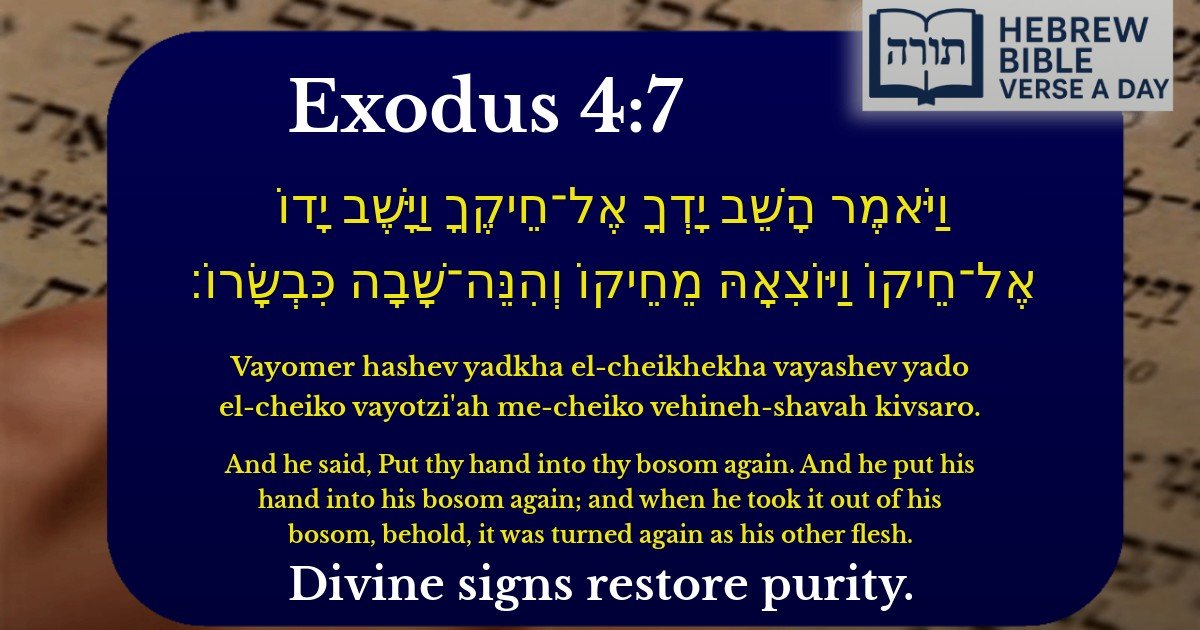 Exodus 4:7 - שמות 4:7