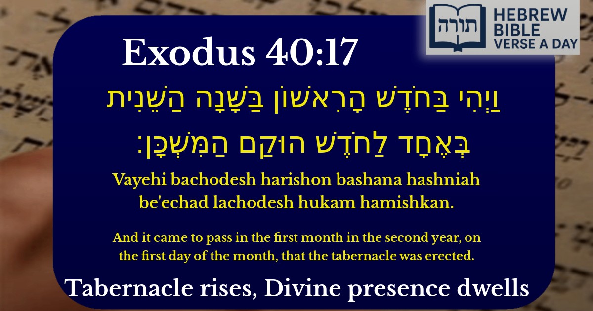 Exodus 40:17 - שמות 40:17