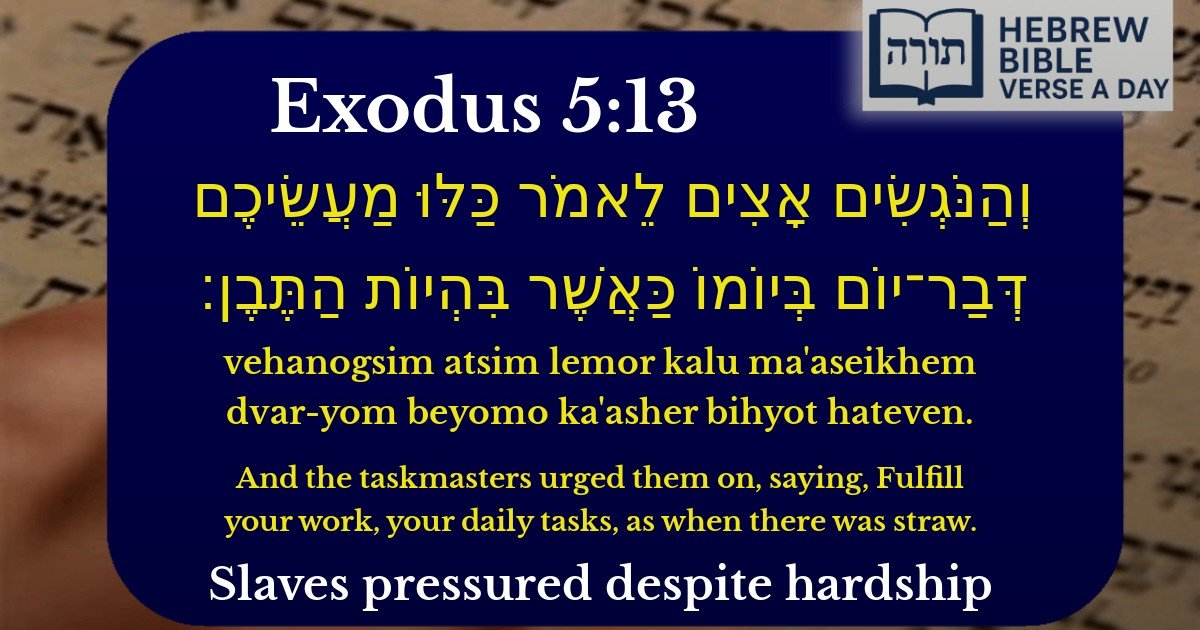 Exodus 5:13 - שמות 5:13