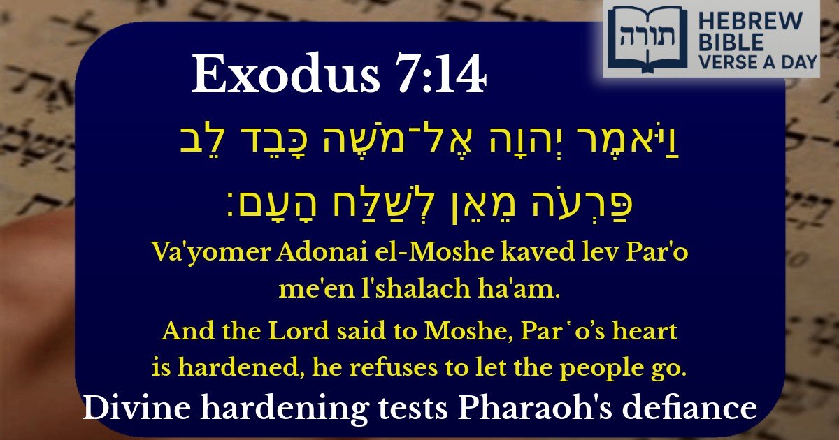 Exodus 7:14 - שמות 7:14