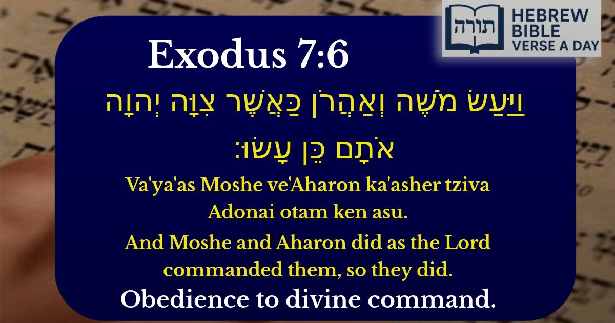 Exodus 7:6 - שמות 7:6