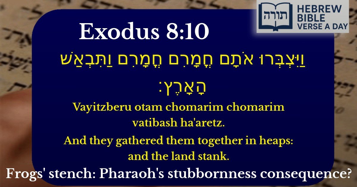 Exodus 8:10 - שמות 8:10
