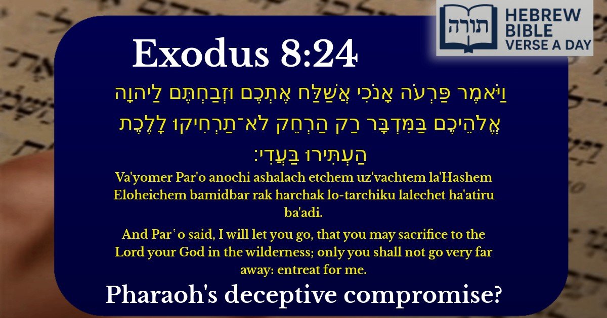 Exodus 8:24 - שמות 8:24