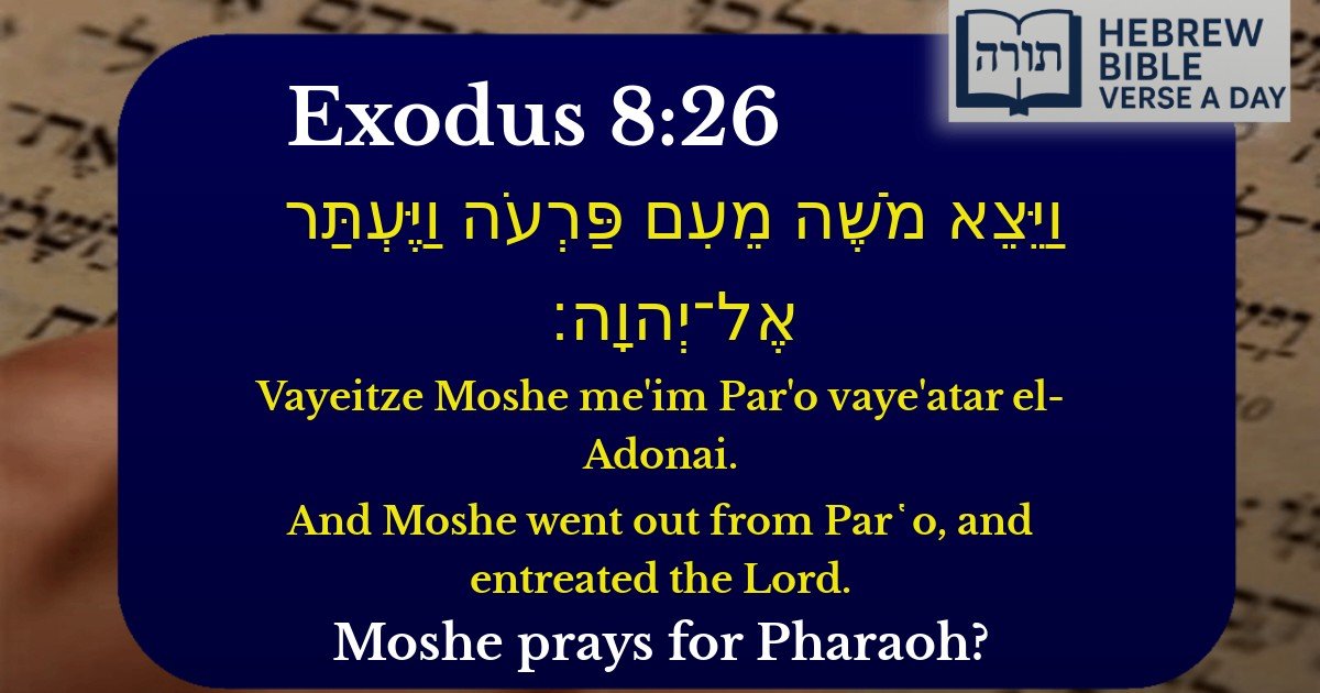 Exodus 8:26 - שמות 8:26