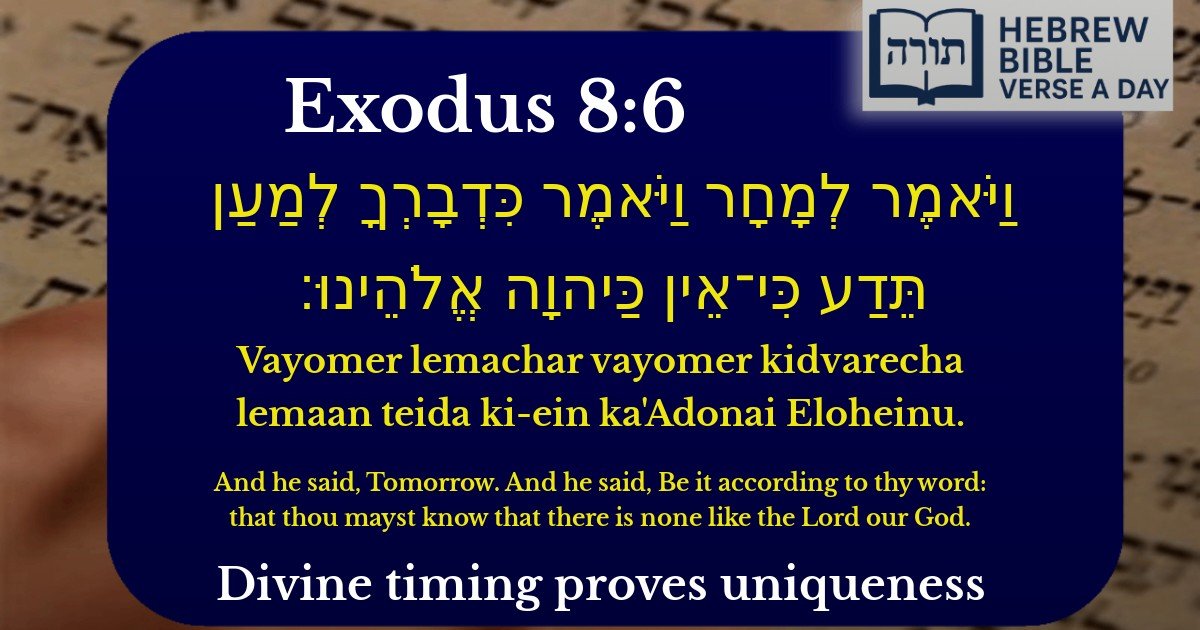 Exodus 8:6 - שמות 8:6