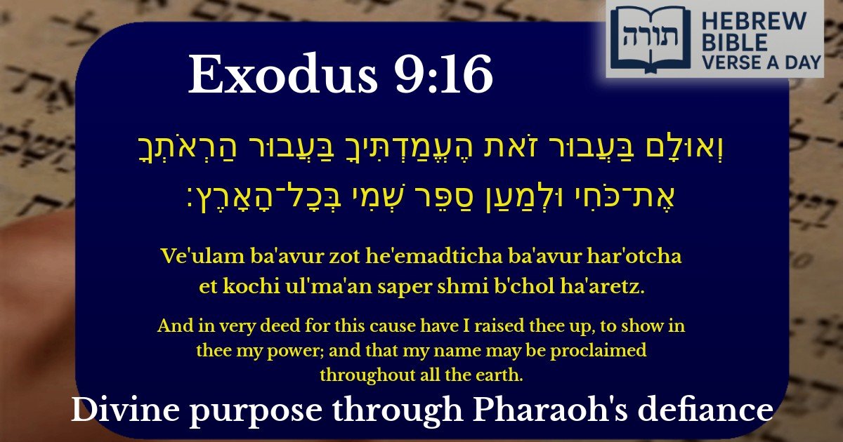 Exodus 9:16 - שמות 9:16