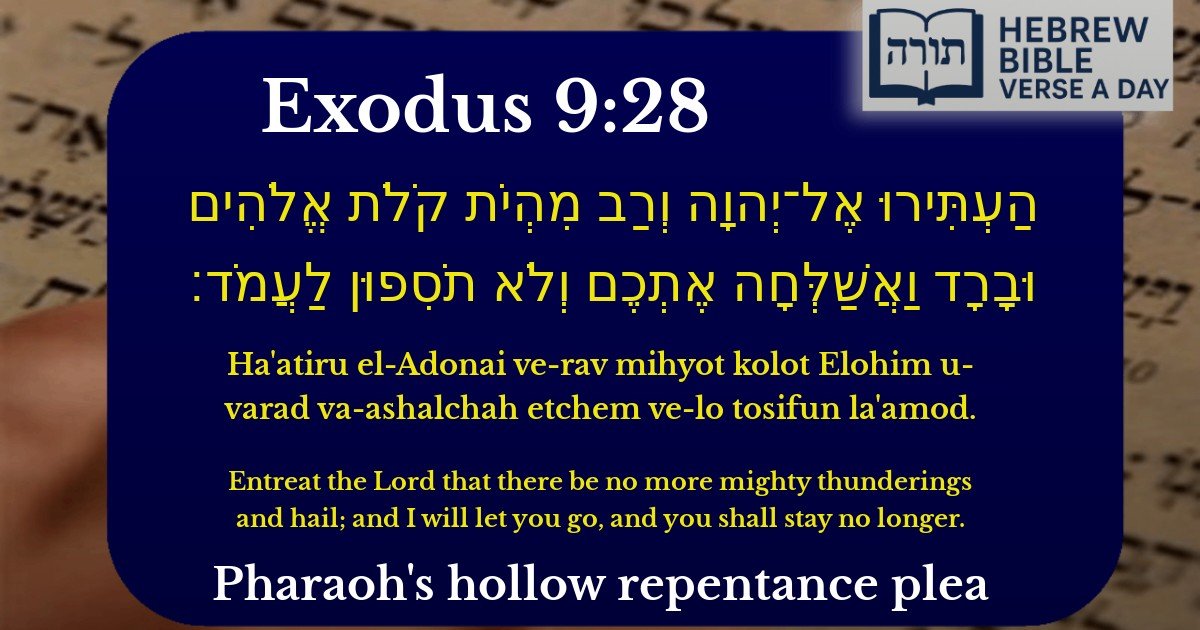 Exodus 9:28 - שמות 9:28