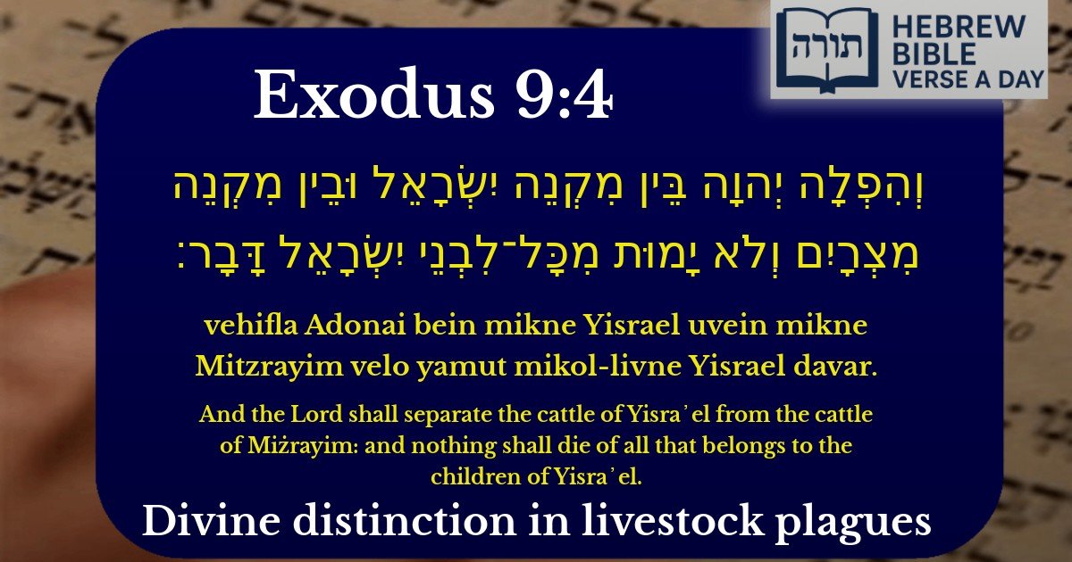 Exodus 9:4 - שמות 9:4
