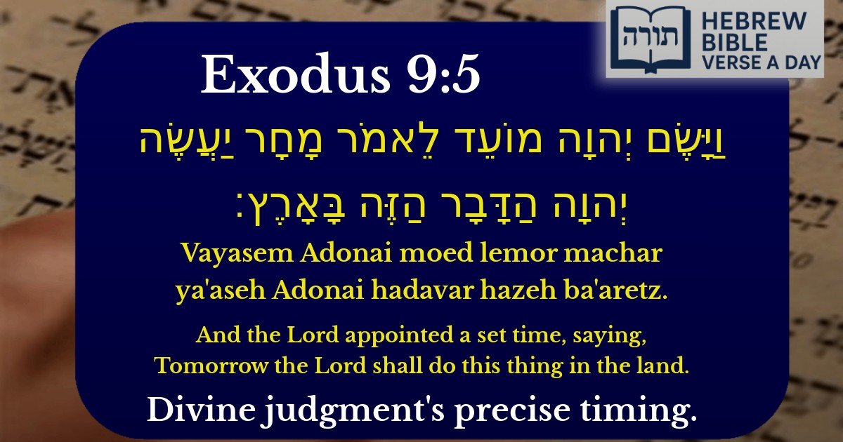 Exodus 9:5 - שמות 9:5