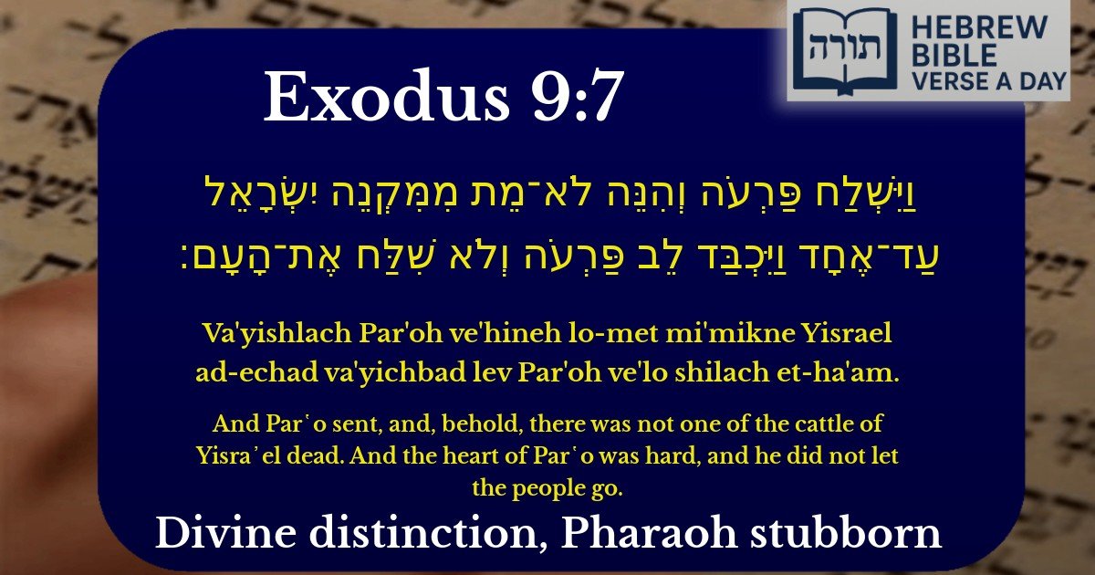 Exodus 9:7 - שמות 9:7