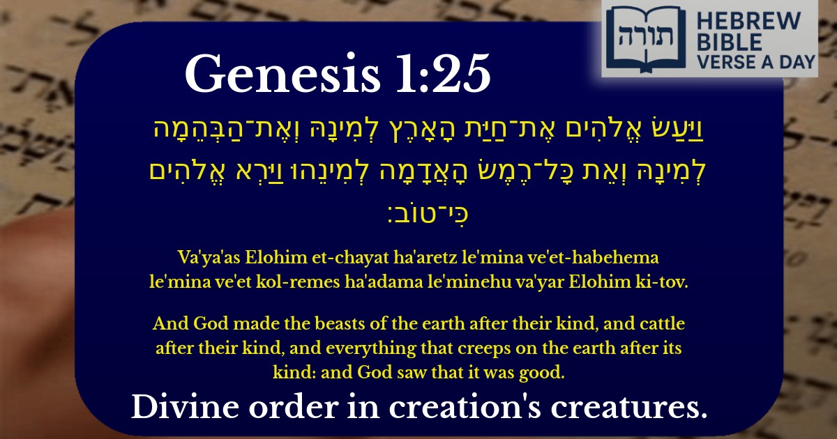 Genesis 1:25 - בראשית 1:25