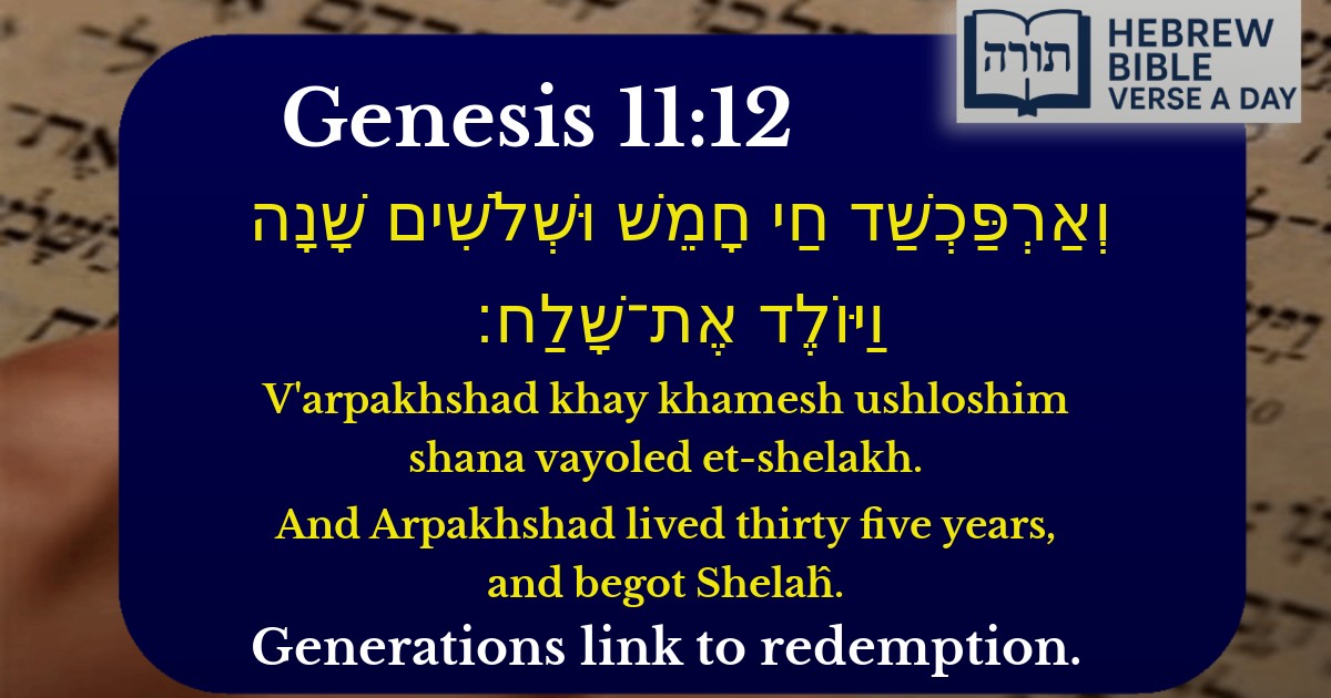 Genesis 11:12 - בראשית 11:12