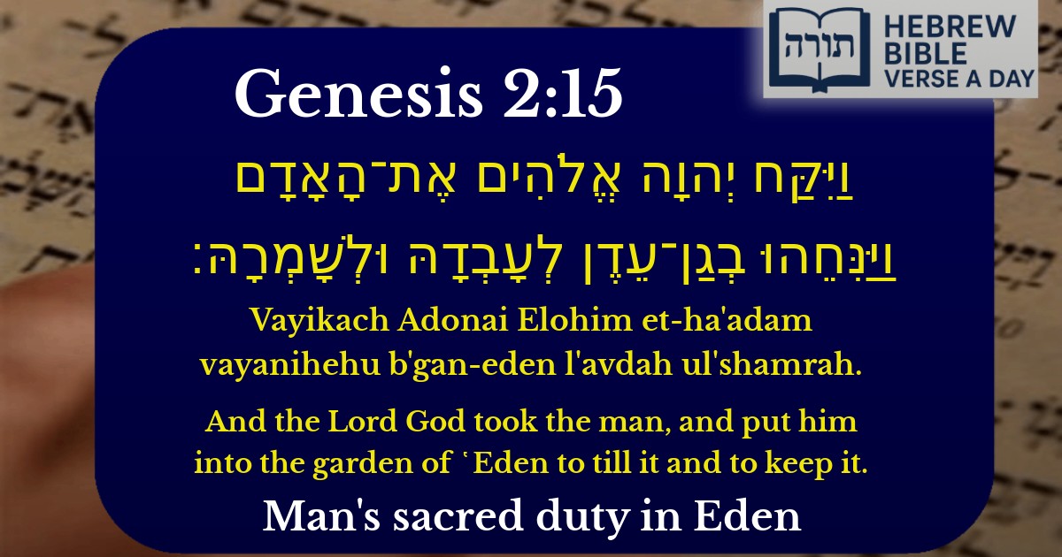 Genesis 2:15 - בראשית 2:15